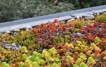 the cost of Llechryd green roof installation