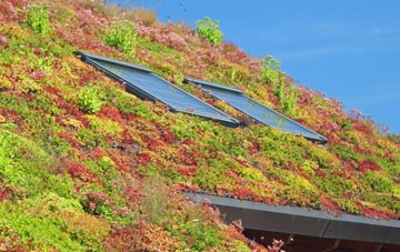 Llechryd living roof systems