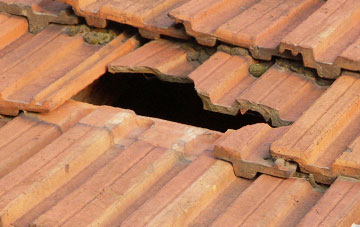 roof repair Llechryd